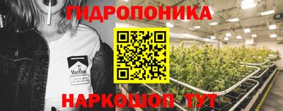 Альфа ПВП Гагарин
