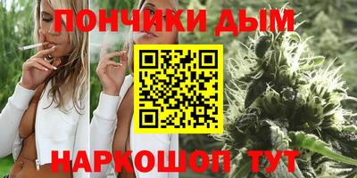 стаф Гатчина