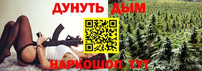стаф Гатчина