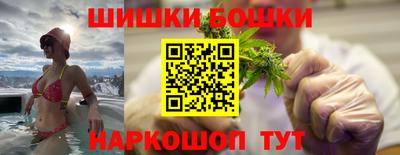 стаф Гатчина