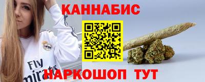 стаф Гатчина