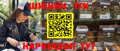 стаф Гатчина