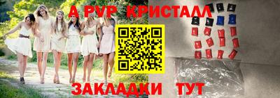 стаф Гатчина